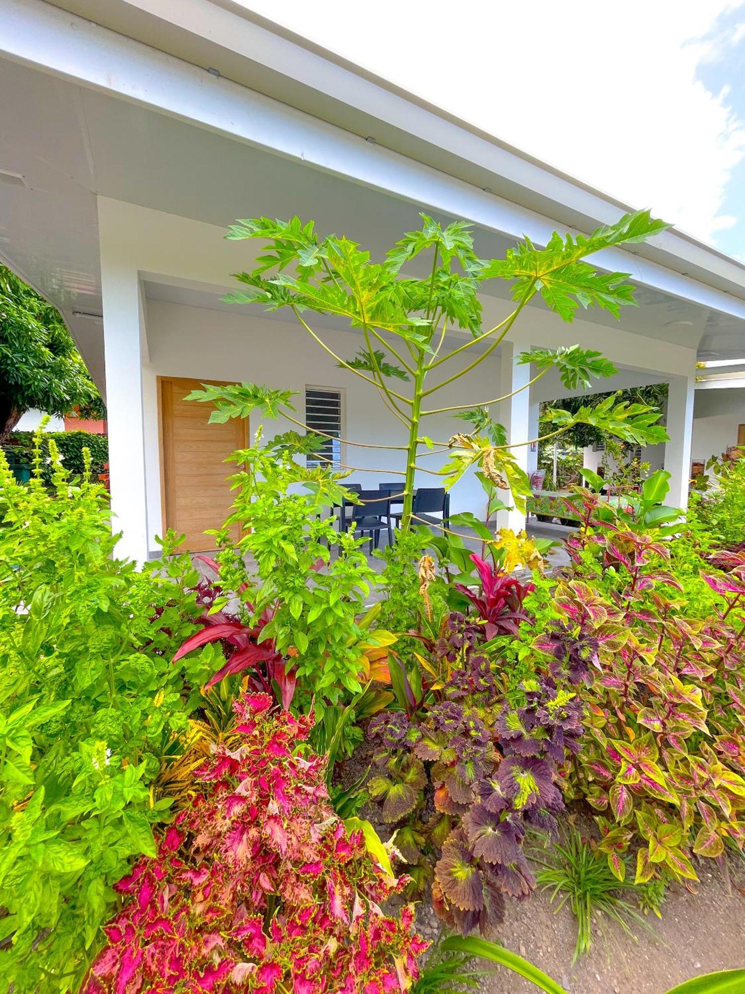 Pare Lodge Tahiti Pirae Ngoại thất bức ảnh