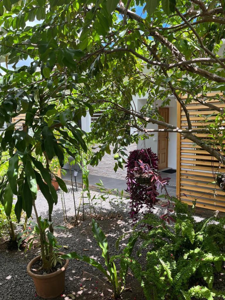 Pare Lodge Tahiti Pirae Ngoại thất bức ảnh